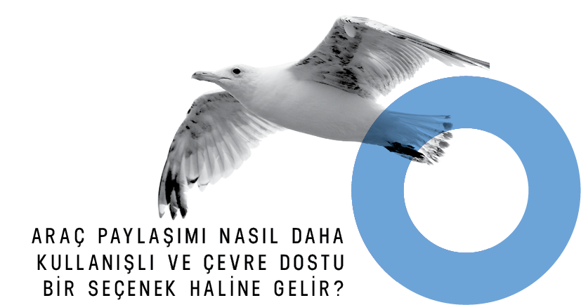 Martı